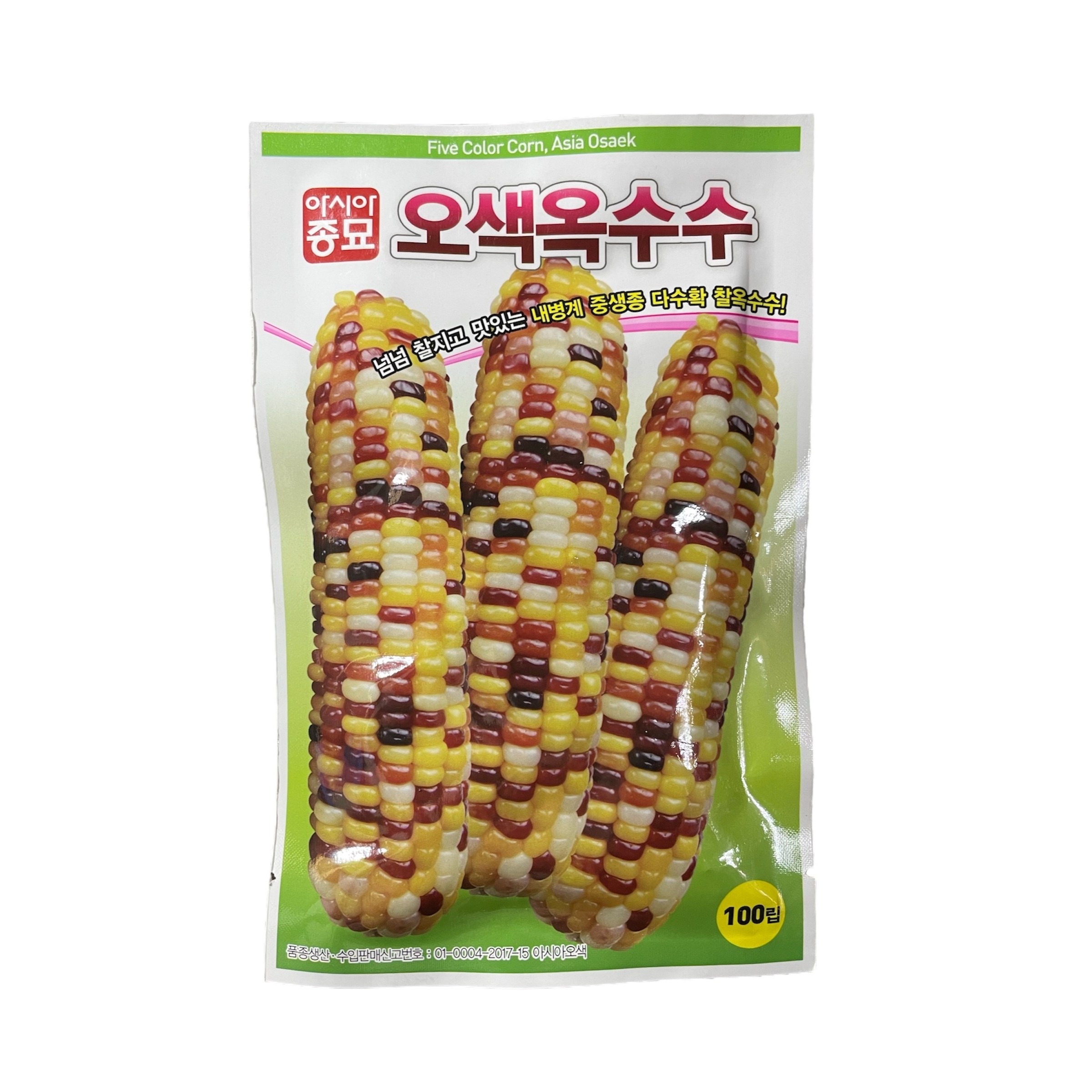 오색옥수수 씨앗 100립 [26년포장] 다수확 찰옥수수 종자, 1봉, 1 5,500원