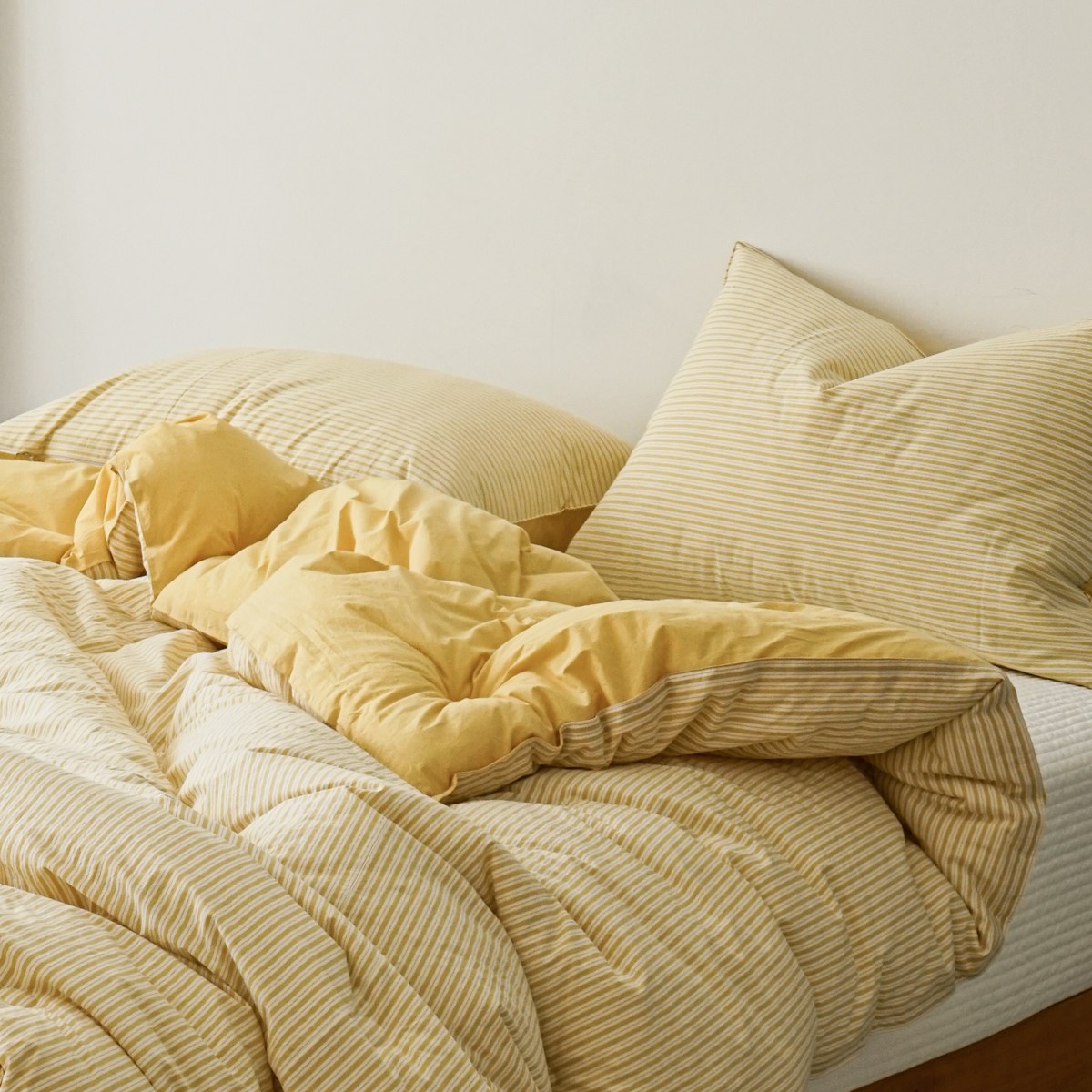 80수 고밀도 순면 스프라이프 차렵이불 3색상 189,000원