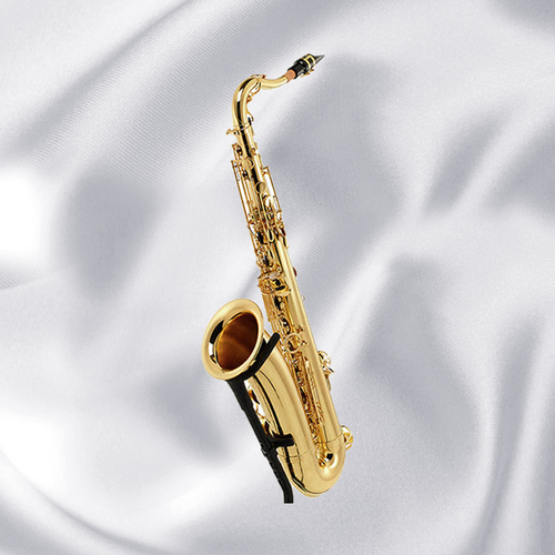 야나기사와 테너색소폰 T-WO10 테너 TWO10 골드 입문자용 yanagisawa 7,130,000원