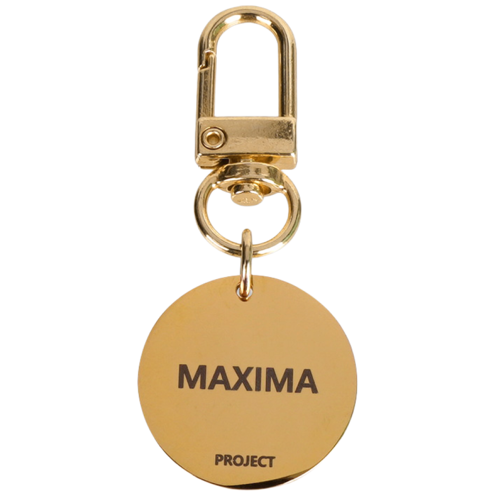 MX PET 써지컬스틸 네임택 333XA GOLD 강아지 고양이 인식표 이름표 양면 각인, 1개, 원형 골드 13,500원