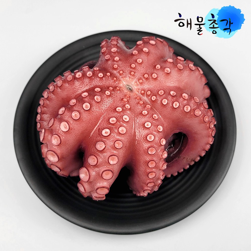 손질 자숙 문어, 1개, 1kg 29,390원