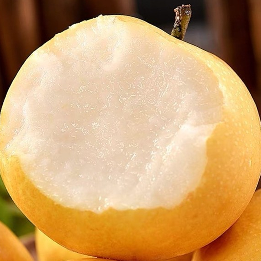 [특별한세일]과육꽉찬 달콤시원 과즙줄줄 산지공급 나주배, 1박스, 5kg 23,800원