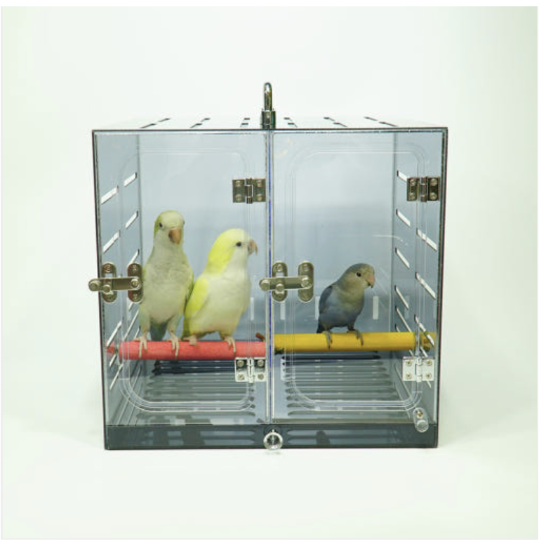 사각 칸막이 이동장 앵무새 이동가방 렉산 이동장 157,500원