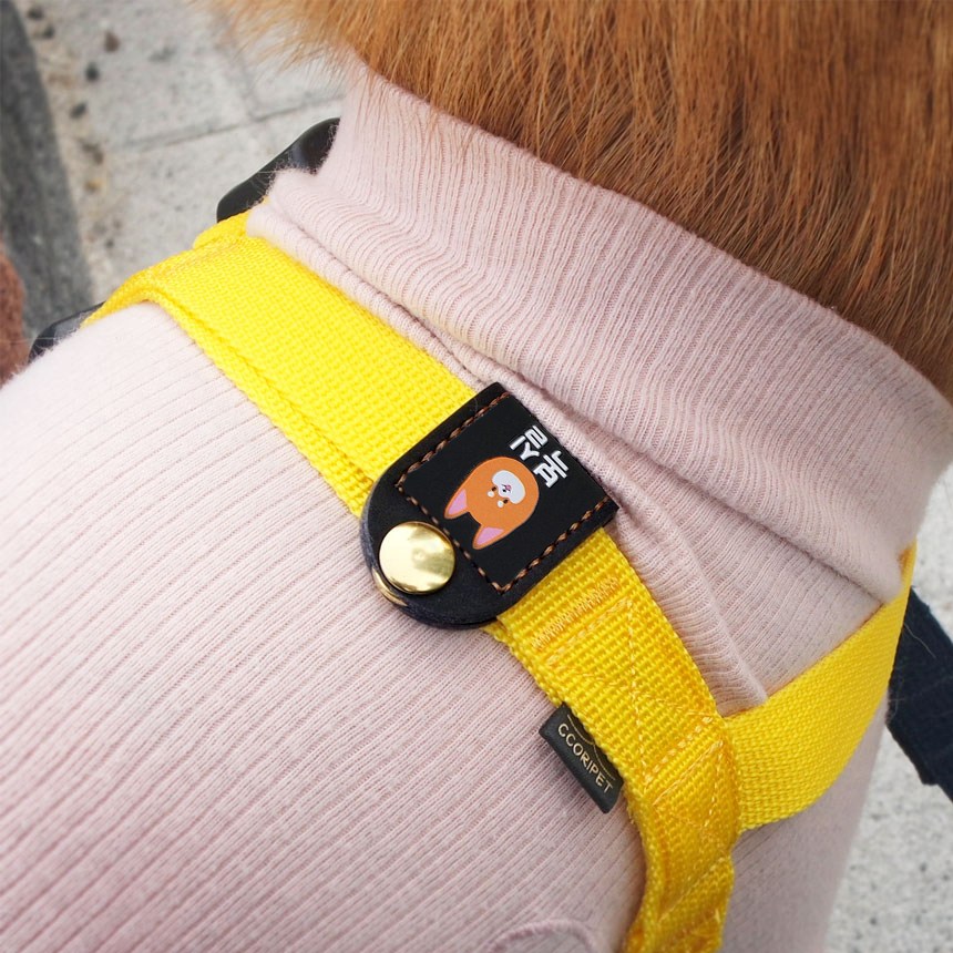 강아지인식표 똑딱이 야광 이름표 22,000원