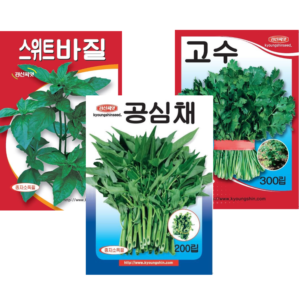 베트남 동남아 채소씨앗세트 바질 공심채 고수, 1개 10,500원