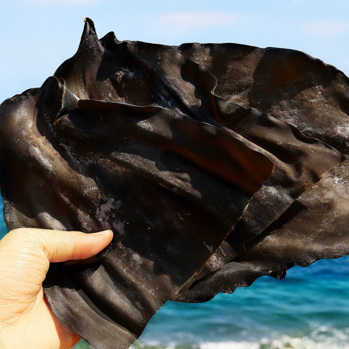 자연닮음 완도 최상급부위 두꺼운 뿌리(꼭지) 다시마 500g 진한국물 육수용, 1개, 500g 10,900원