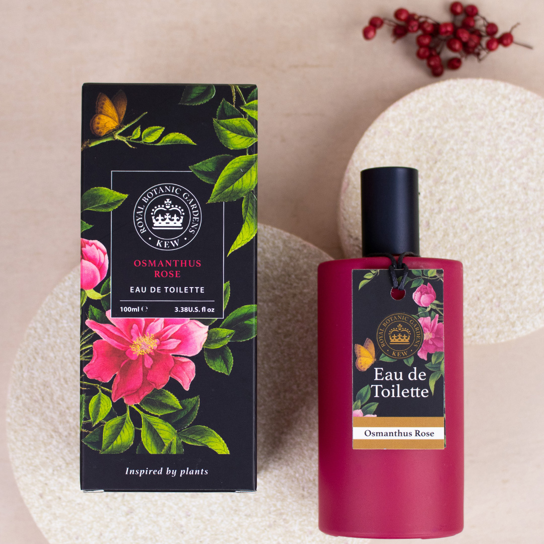 큐가든 오스만투스 로즈 오드뚜왈렛, 1개, 100ml 134,100원