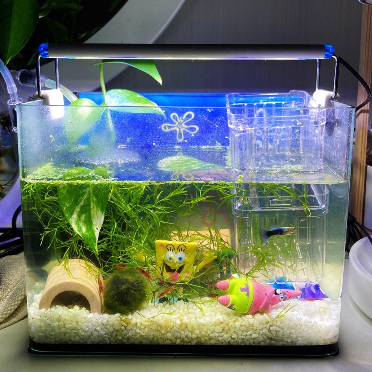 LED 수족관 등커버, 1개 15,000원