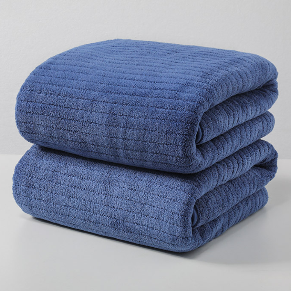 앨라모 흡수력 좋은 초대형 극세사 바스타올 70x140cm 2P, 2개, 블루 25,000원
