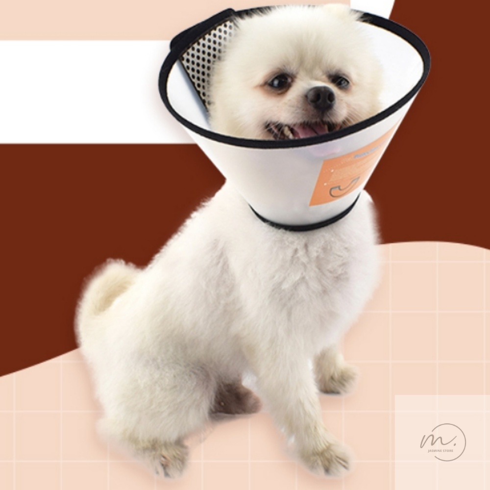 자스민스토어 애견 애묘 넥카라 애견깔대기 강아지위생목커버 강아지깔대기 애견목커버 고양이넥칼라 강아지넥카라중형견 애완견목넥카라 3,600원