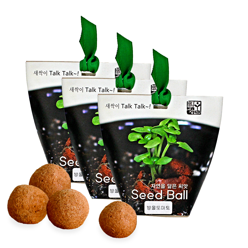 틔움월드 자연을 닮은 씨앗 Seed Ball 텃밭가꾸기세트 4개입 3세트 8,130원
