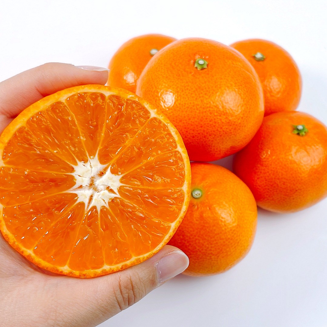 고당도 제주 홍매향 산지직송, 1개, 5kg 중소과 70-120g 56,280원