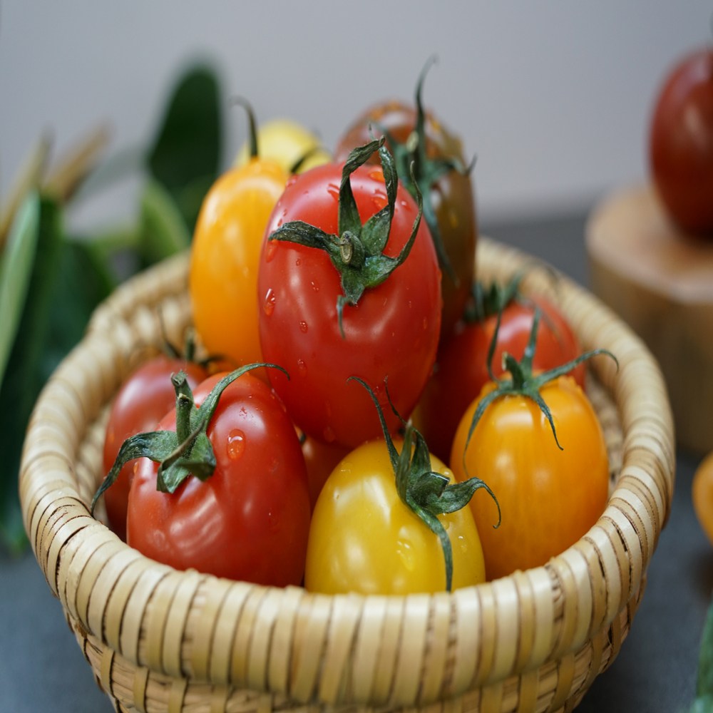 산지직송 오색 칵테일 토마토 신선한 방울토마토 21,400원