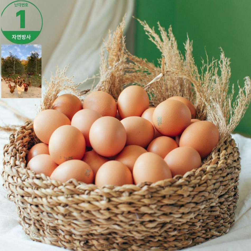 서연농장 [난각번호 1번]프리미엄 동물복지 방목유정란 40구 27,000원