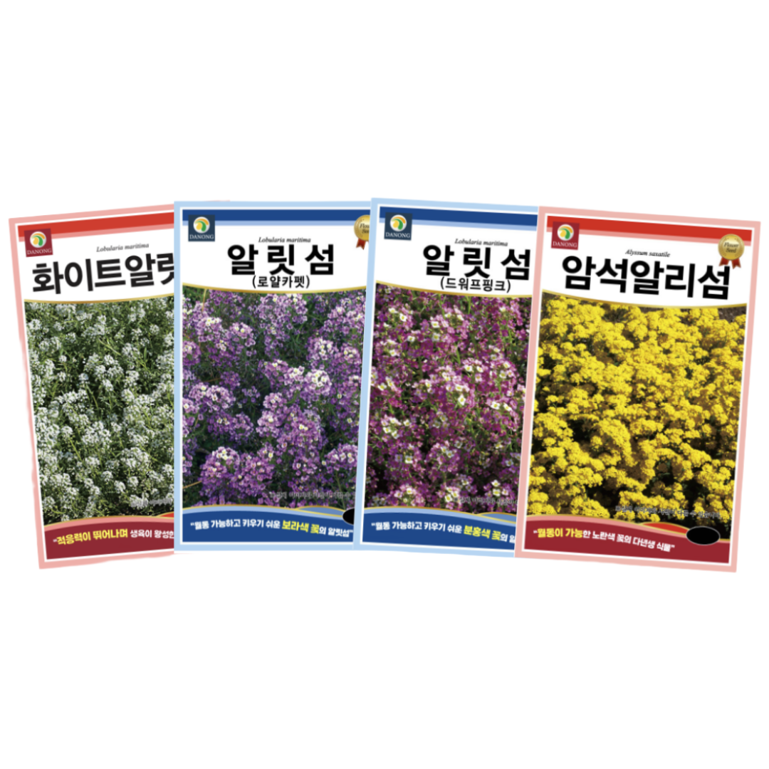 [주주씨앗] 알리섬 4종세트 키작은 다년생 꽃잔디 알릿섬 꽃씨 꽃씨앗 월동 봄 가을 파종 작물, 1개 12,900원