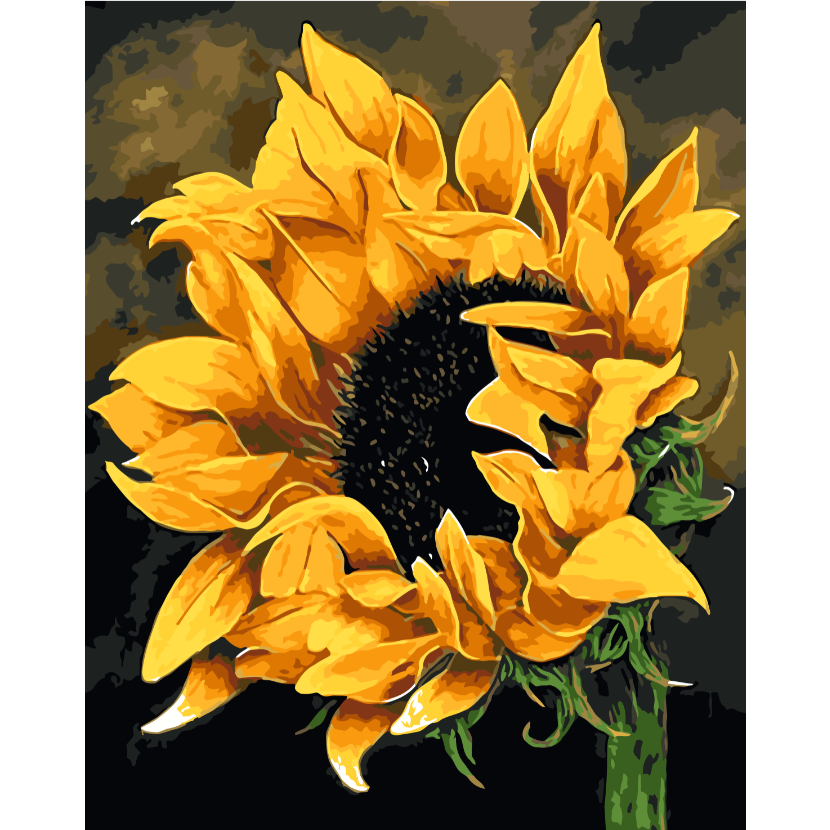 모모픽스페인팅 DIY명화그리기 60x75cm, WK10 만개한 해바라기, 1개 35,500원