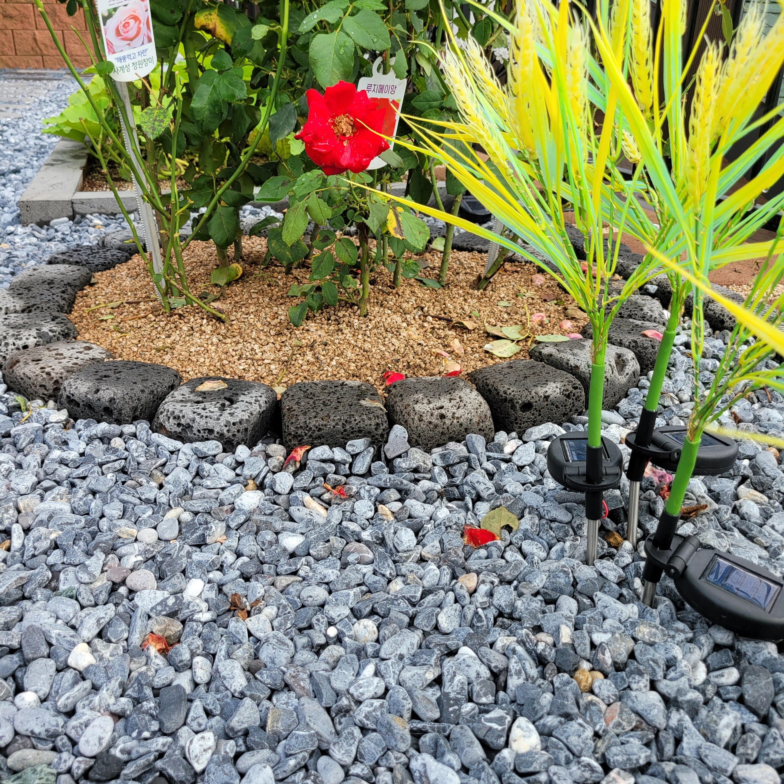 백자갈 흑자갈 18kg (정원 마당 카페 자갈 화분 테라스 해미석 조경 인테리어 조약돌) 13,800원