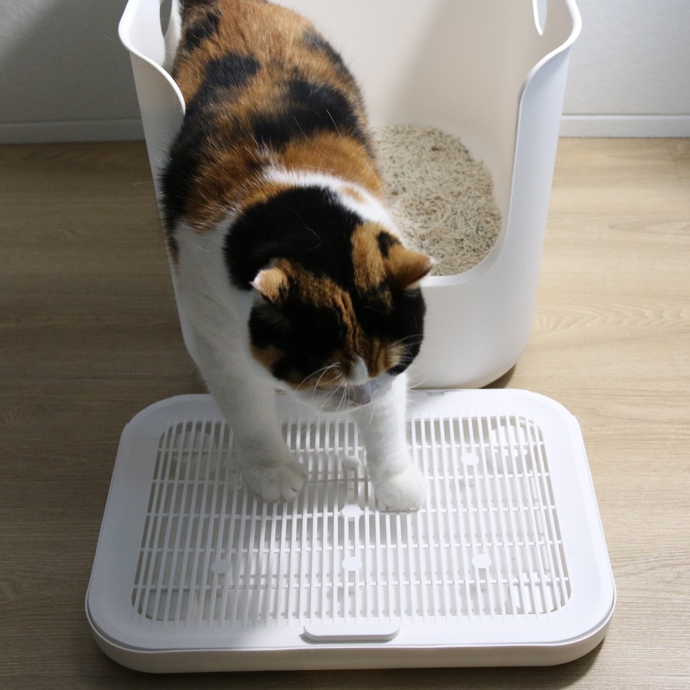 드림계곡 고양이 화장실매트 사막화방지 모래 발판, 1개, 화이트 15,900원