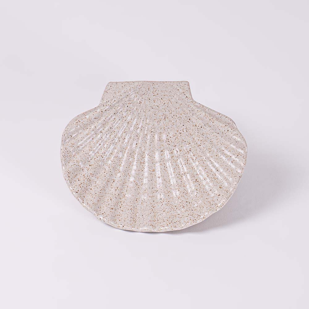 온도아리아 가리비접시 브런치 파스타 플레이팅 그릇 중형 4개 67,900원