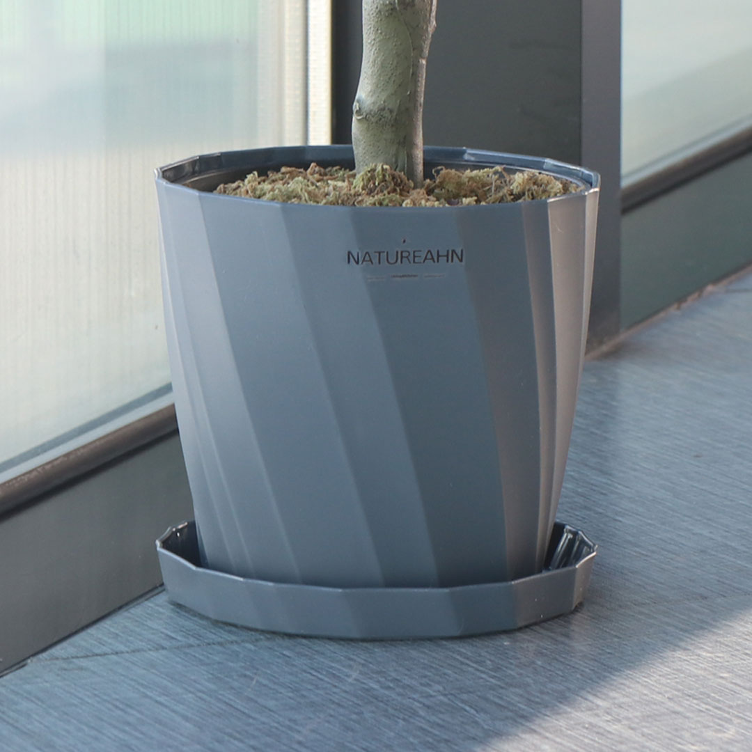 네이처안 과습방지 화분 + 받침 세트 4,900원
