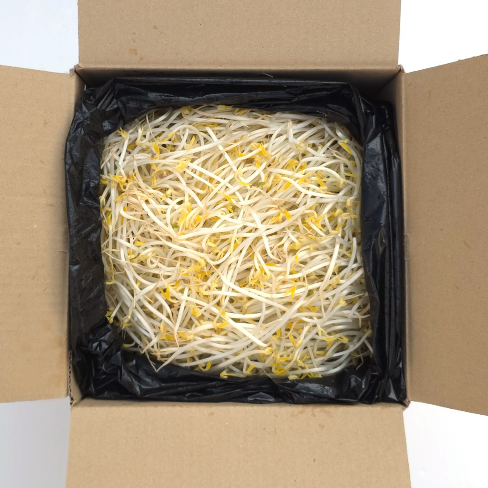 클릭마켓 아삭한 숙주나물, 1박스, 3.5kg 8,800원