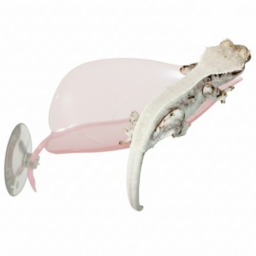 미니포레 나뭇잎 백업 크레 용품 도마뱀 사육장 꾸미기, 1개, 클리어핑크 5,500원