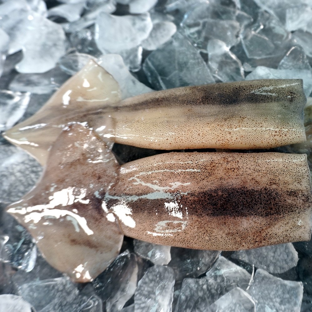 대천해 손질 통오징어 2미, 2미(240g), 1개 9,900원