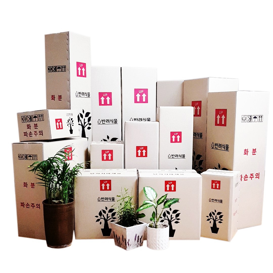 박스365 튼튼한 꽃 생화 화훼 나무 화분 화초 식물 택배박스 29종 모음, 연갈색 박스 A601 10장(300*245*175), 10개 10,000원