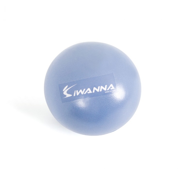 아이워너 미니 짐볼 25cm 라벤더 9,930원
