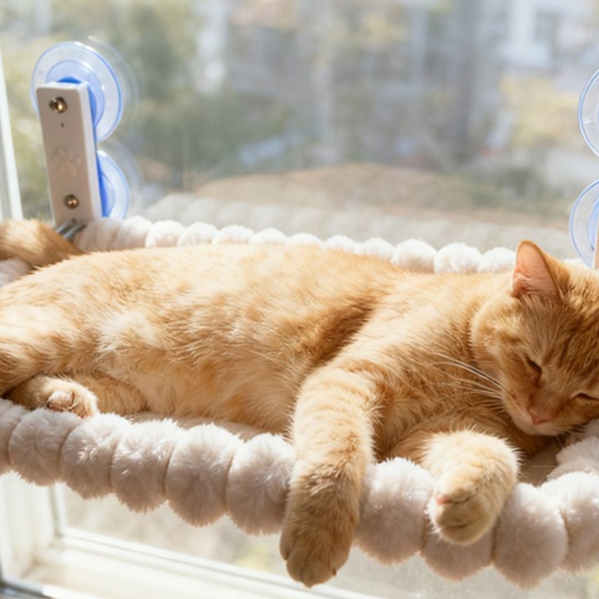 가을 겨울 보온 접이식 베란다 고양이 해먹 강력 빨판 고양이 행거 창문 해먹 살찐 고양이 집, 1개, 화이트 34,000원