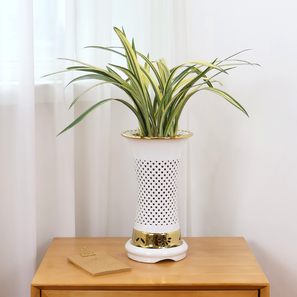 에코플라워 동양란 (백난분 애국 17x50) 수도권배송 광역시배송 사진전송 승진 영전 인사이동 진급 취임 개업 당일배송 g-0123, 1개 132,050원