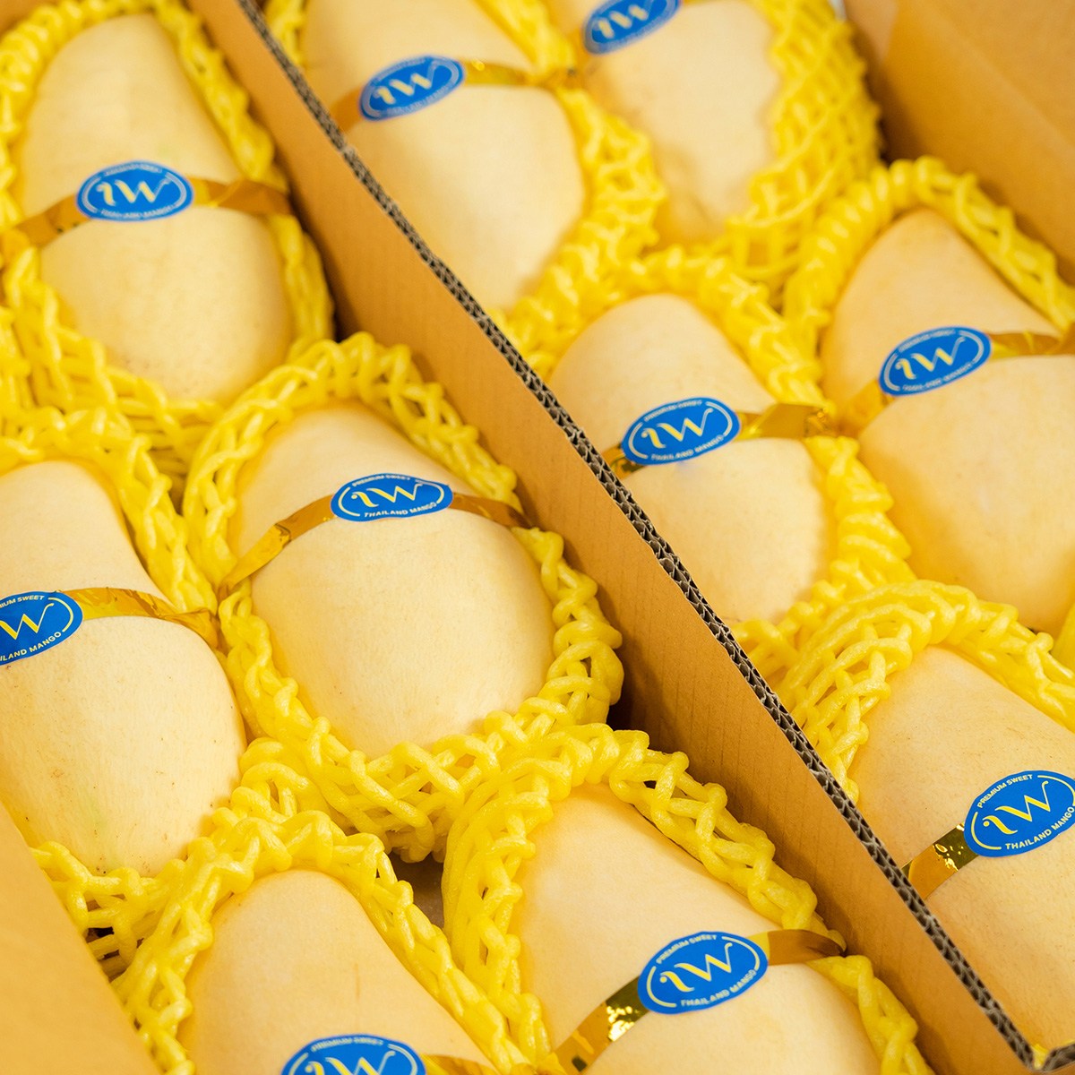 태국산 골드망고 5kg(10~16입), 1개, 5kg 52,800원