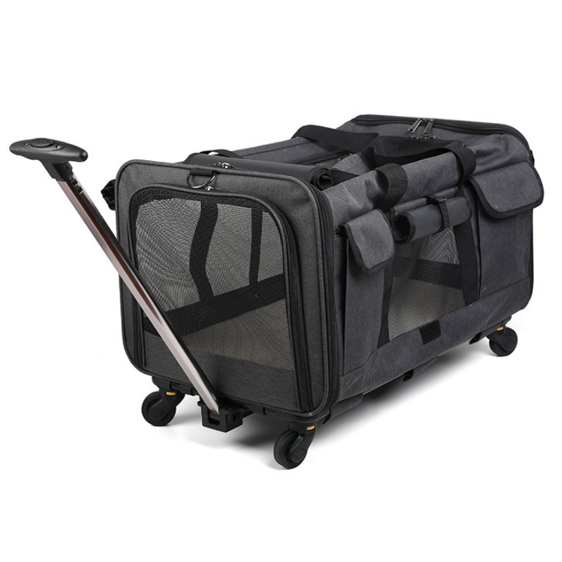 트윙클펫 반려동물 캐리어, 현재가 79,000원