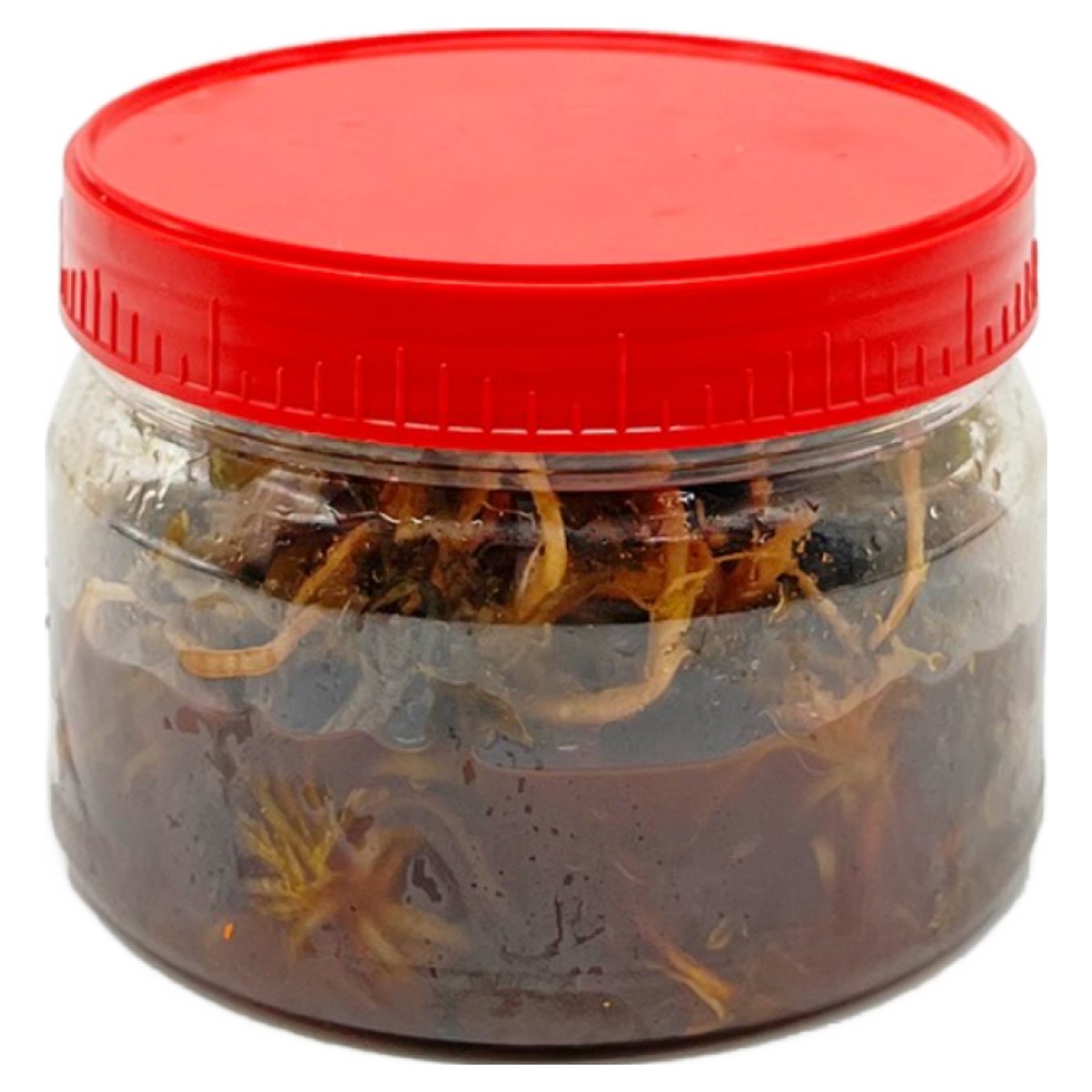 국산100% 향긋한 냉이장아찌 12,230원