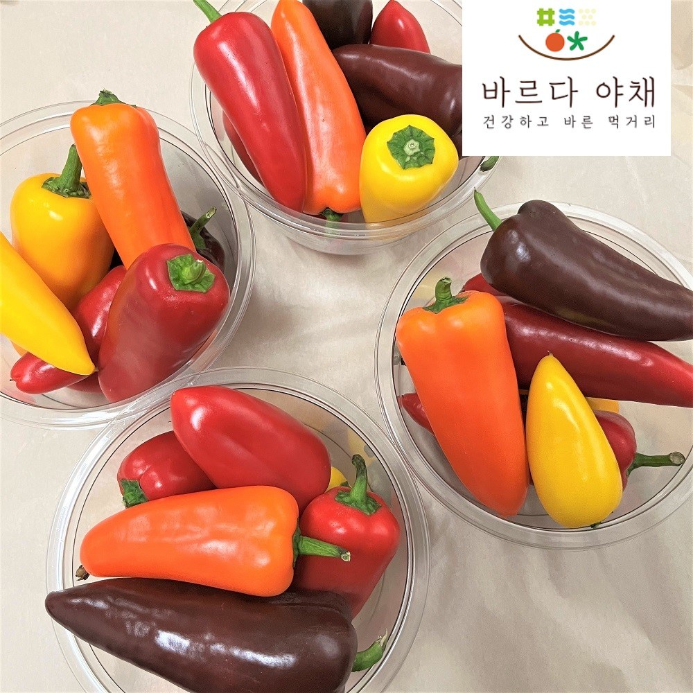 바르다야채 국내산 미니파프리카 250g, 500g, 1kg, 2kg, 250g, 2개 11,900원