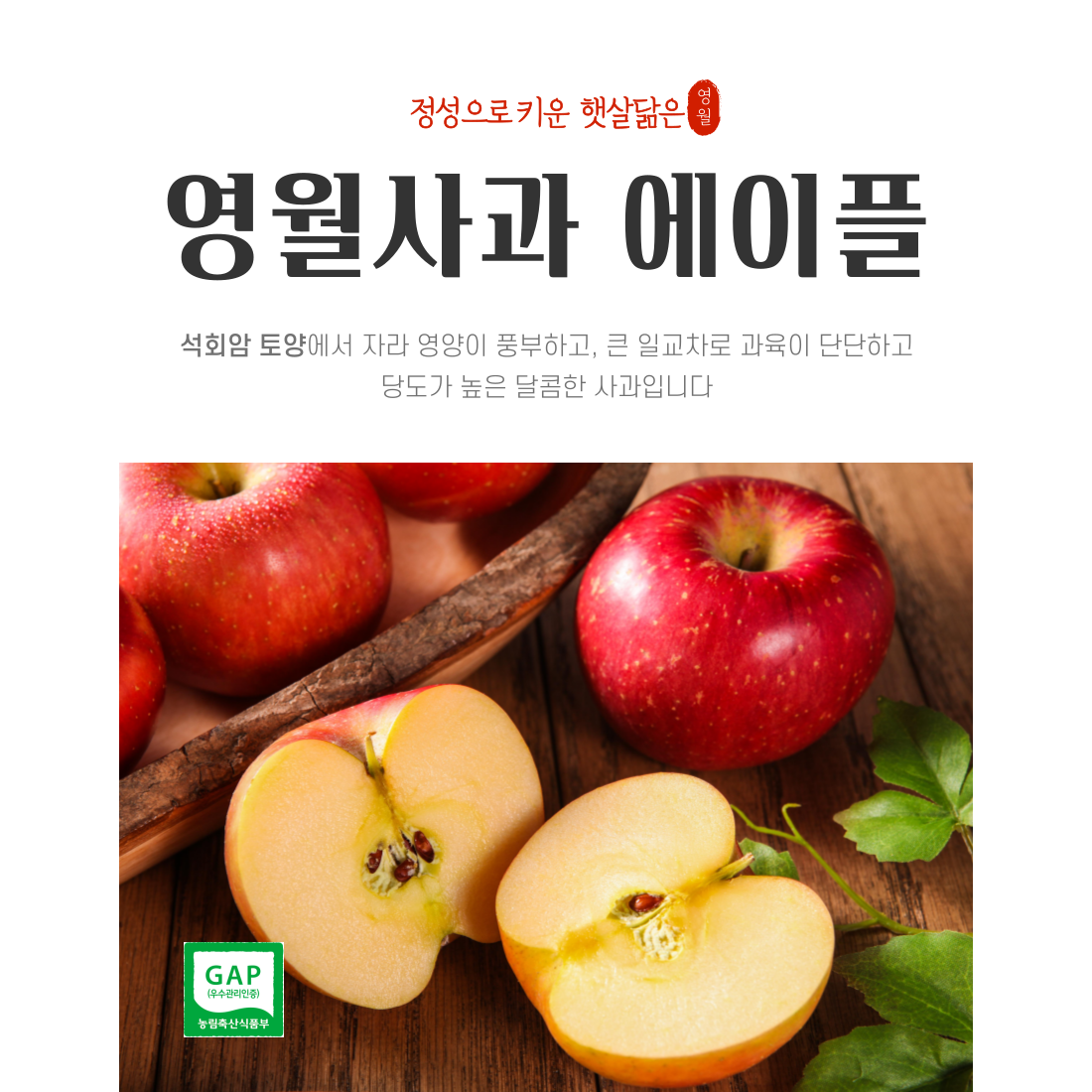 [설명절]영월사과 에이플 명품 선물세트 5kg[GAP][예약배송] 67,000원