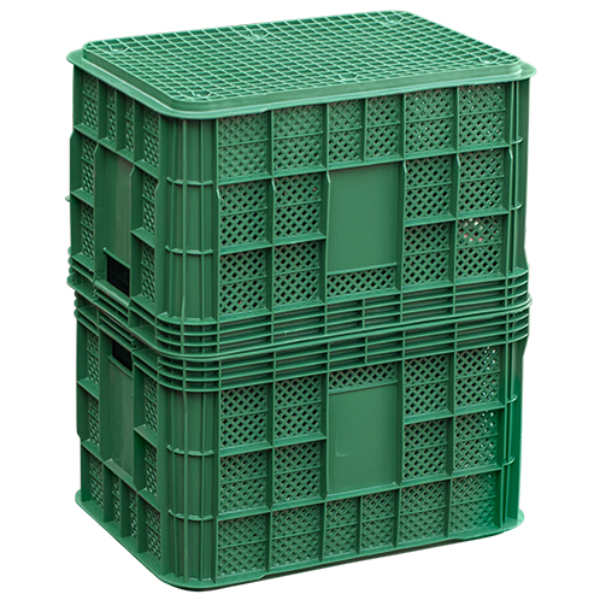 공룡플라스틱 플라스틱박스 과일 농산물 사각 보관 수납 용기 컨테이너 콘티 이사 바구니 운반 상자 사각상자 3개 24,000원