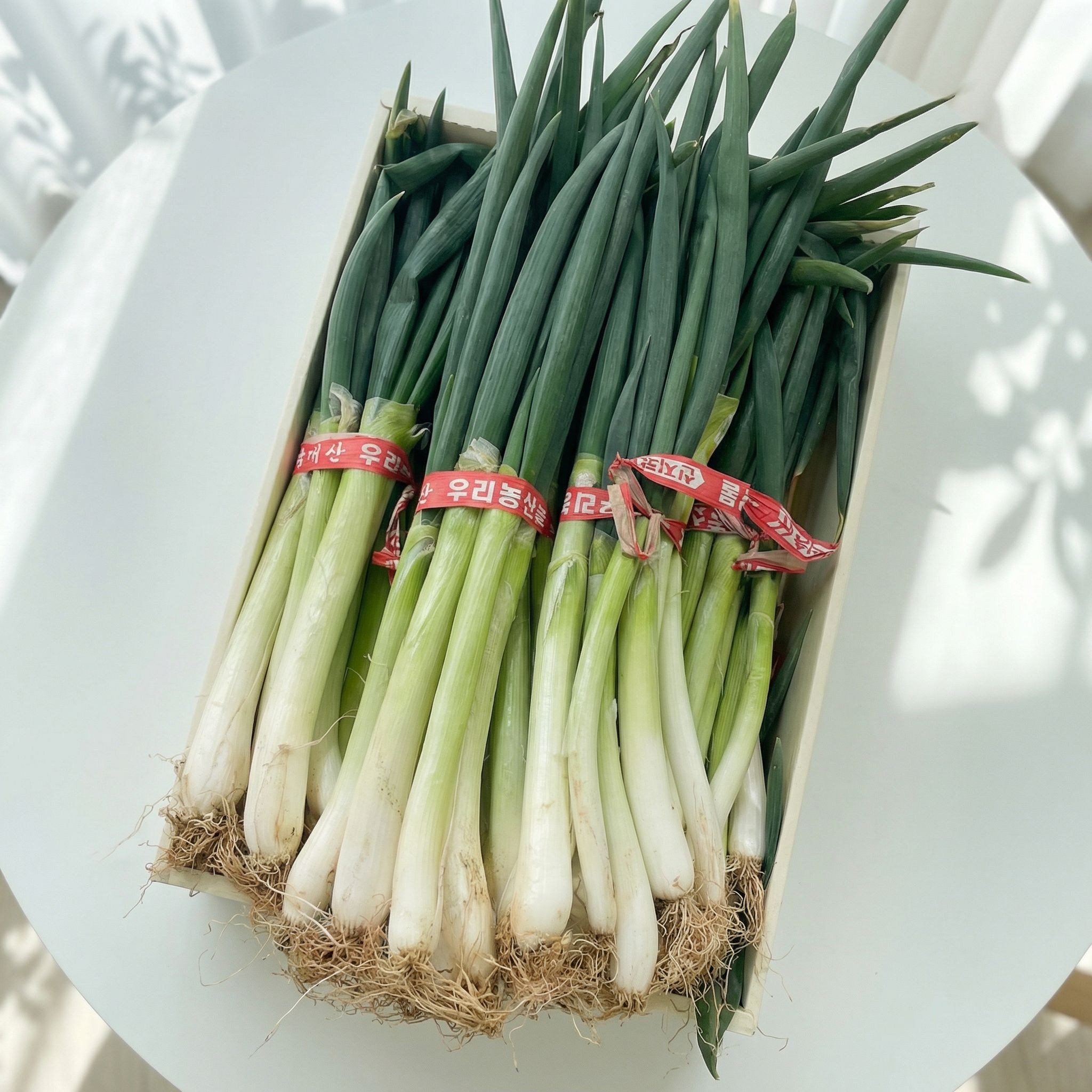 (당일경매) (당일출고) 국내산 대파 2kg, 3kg, 5kg, 10kg내외 1박스 (최상급), 1개, 5kg 12,000원