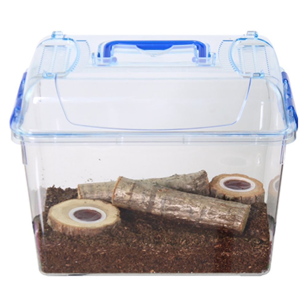 사필풍 장수풍뎅이 클린 대형 실속 세트 19,500원