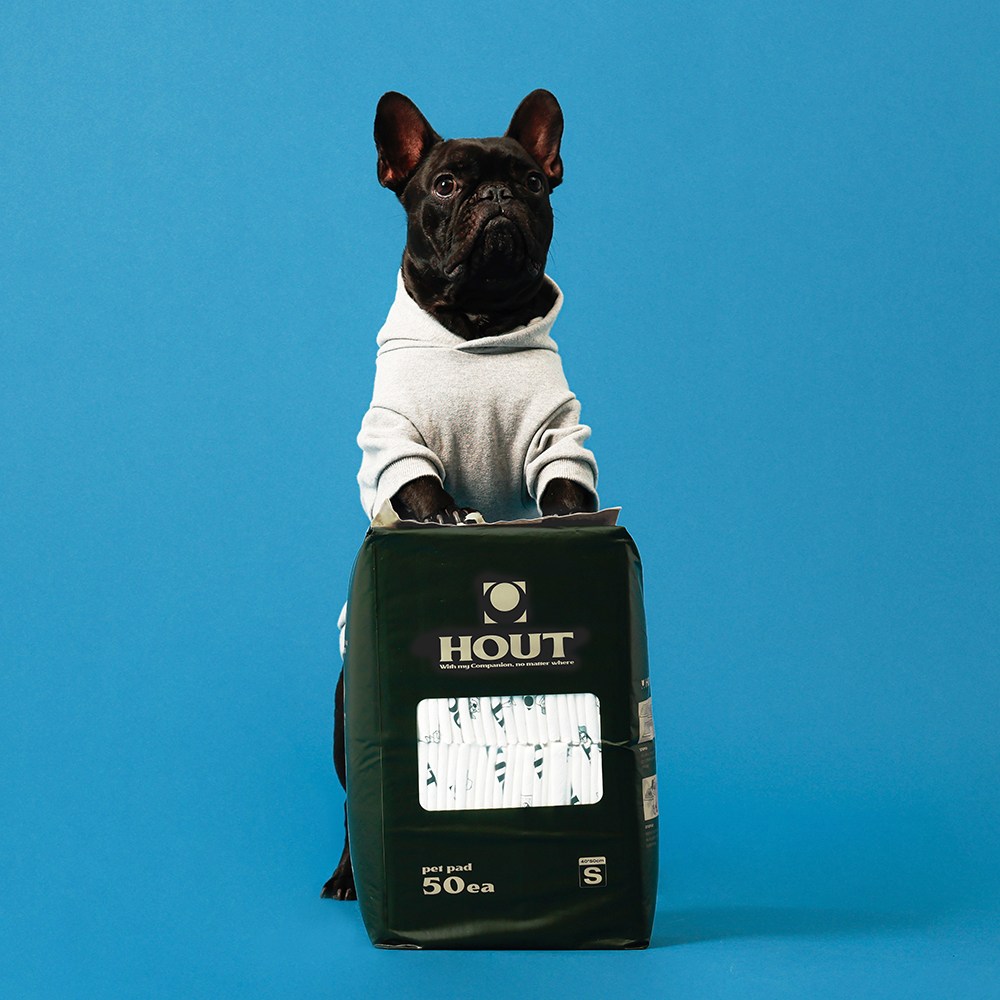 하웃 강아지 애견 배변패드 두꺼운 반려견 패드 소형 35g 200매 40,100원