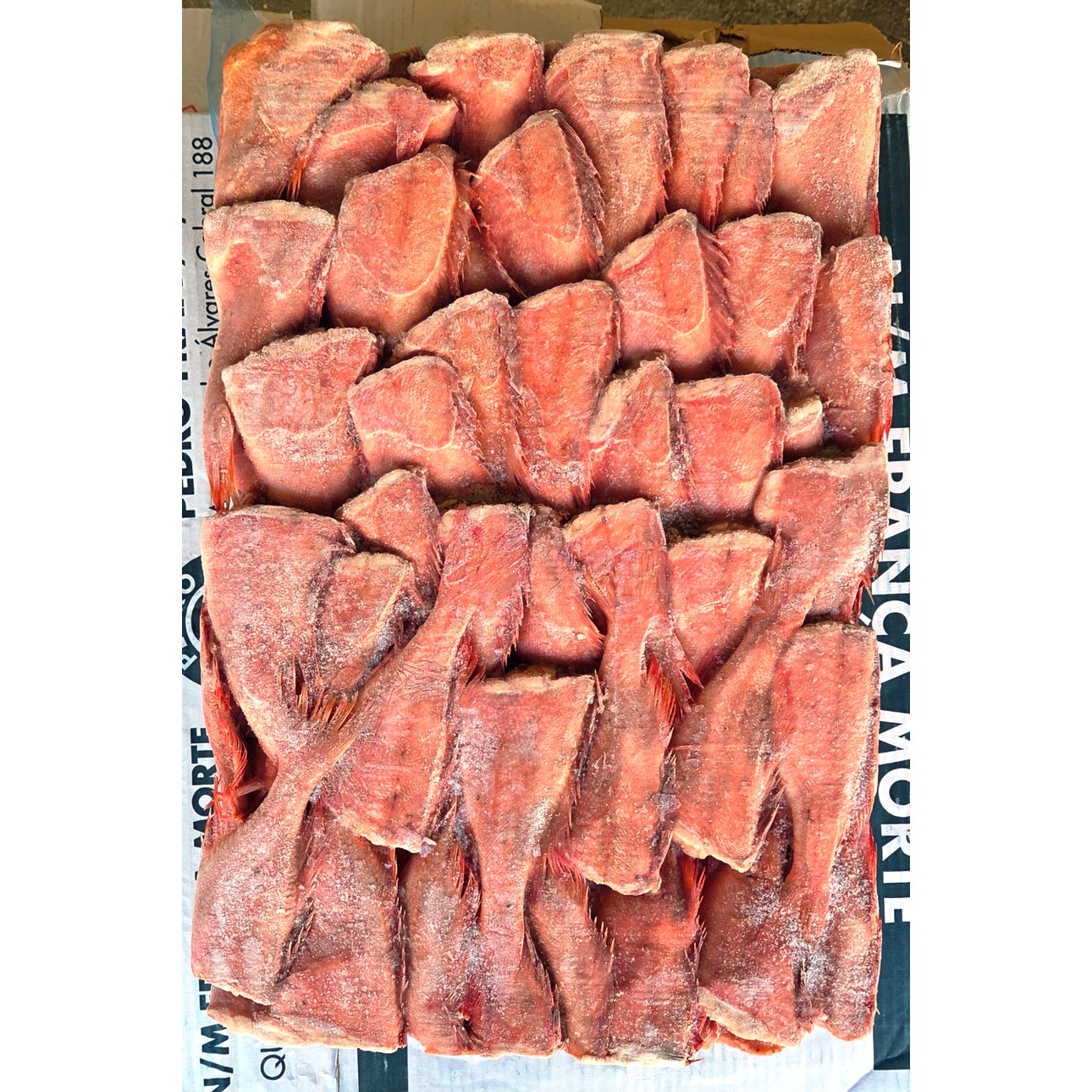 [삼성씨푸드] 손질 두절적어 6.5kg 10kg 장문볼락 아까 열기 빨간생선 볼락 210,000원