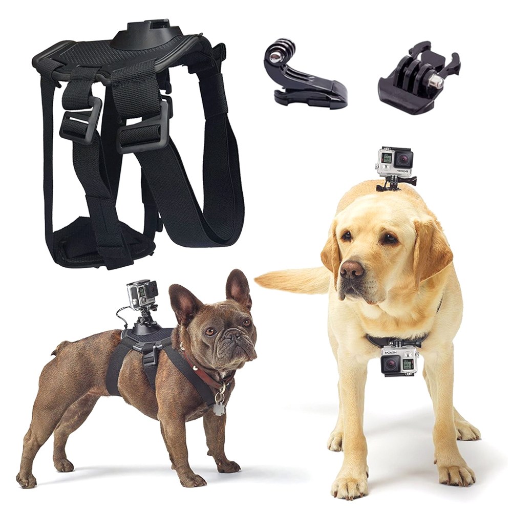 호환 고프로 도그 하네스 마운트 스트랩 애완견 인스타360 휴대폰 오즈모 액션캠 11,500원