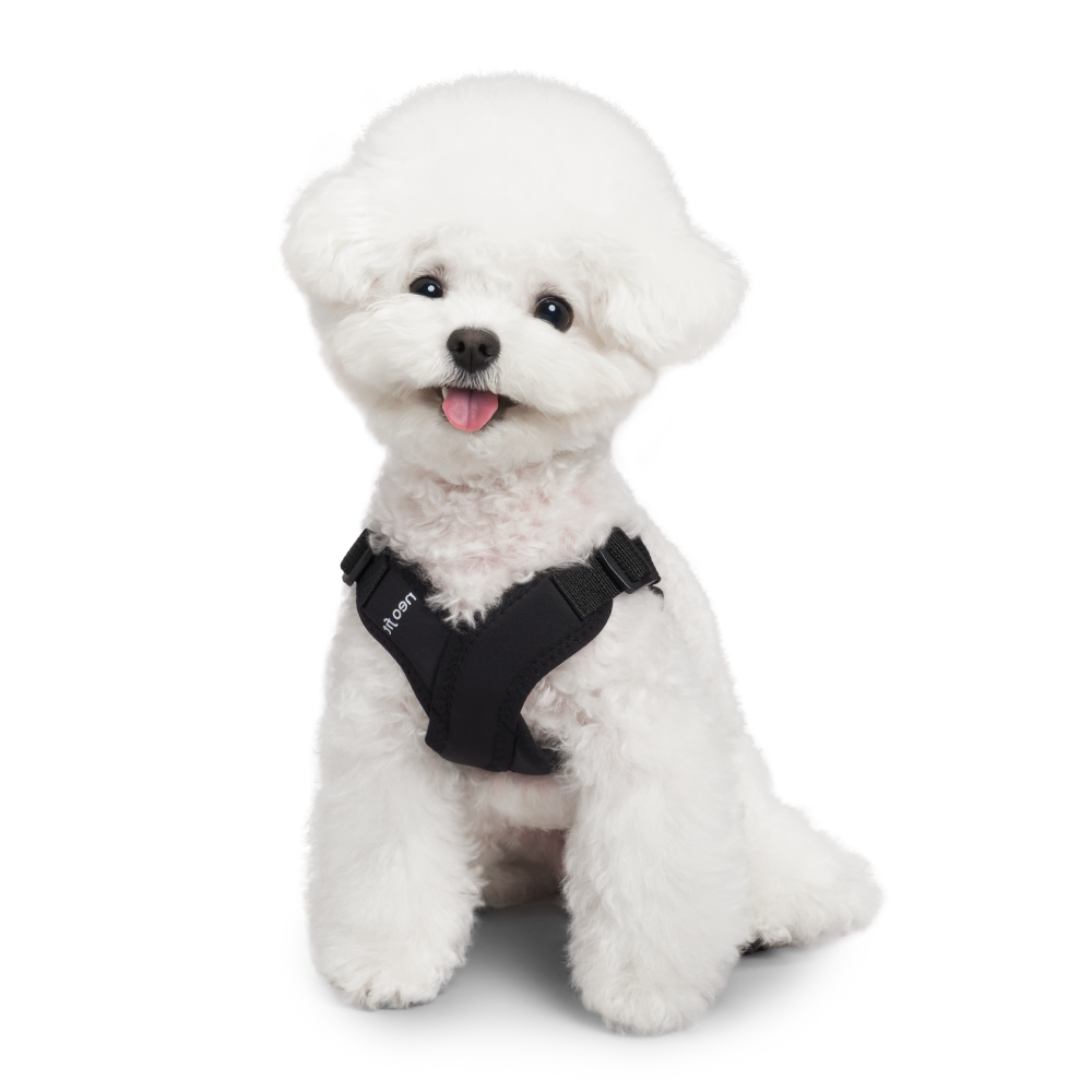 네오핏 강아지 에어 X 하네스 가슴줄 19,500원