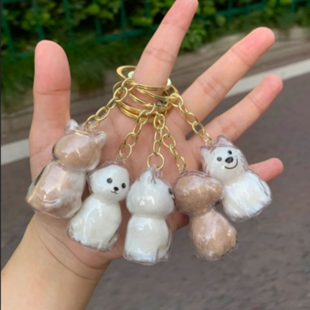 퀘인트 소중한 추억 강아지털 보관함 키링 1+1+1+1+1, 5개, 화이트 실리콘 5종 13,000원