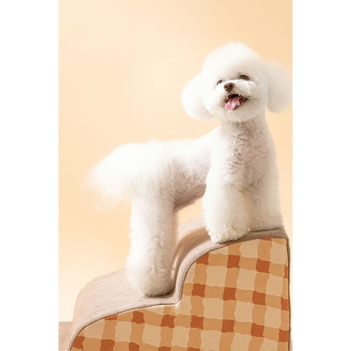 슬라이드 논슬립 스텝 강아지 계단 2단, 1개, 브라운 59,000원