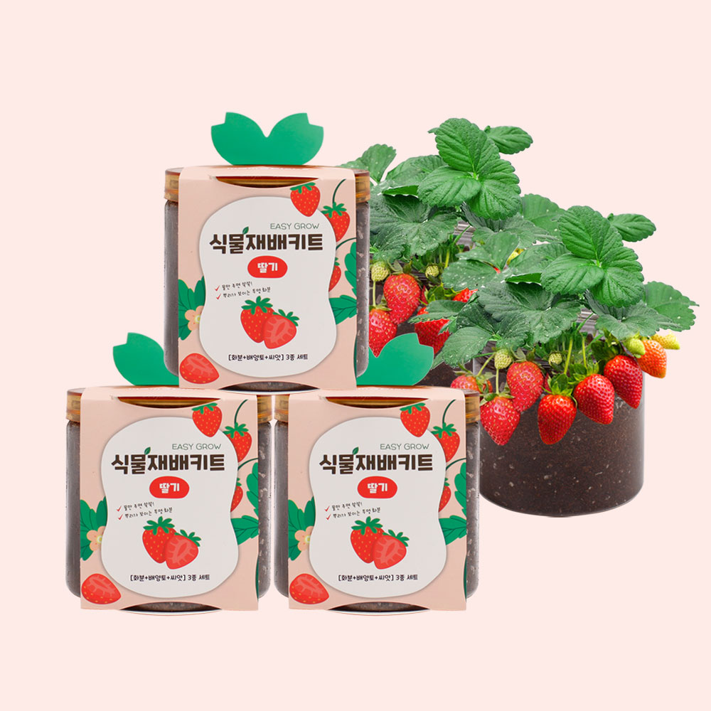 마마픽스 이지그로우 식물재배키트 3개 세트(11종) 12,680원