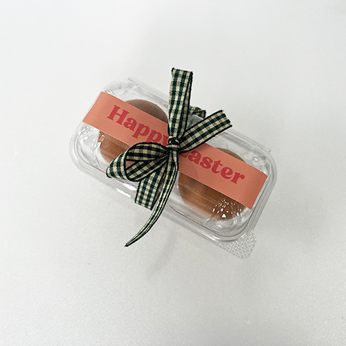 티나피크닉 부활절 투명 2구 계란포장 체크리본 + 스티커 세트 12,700원