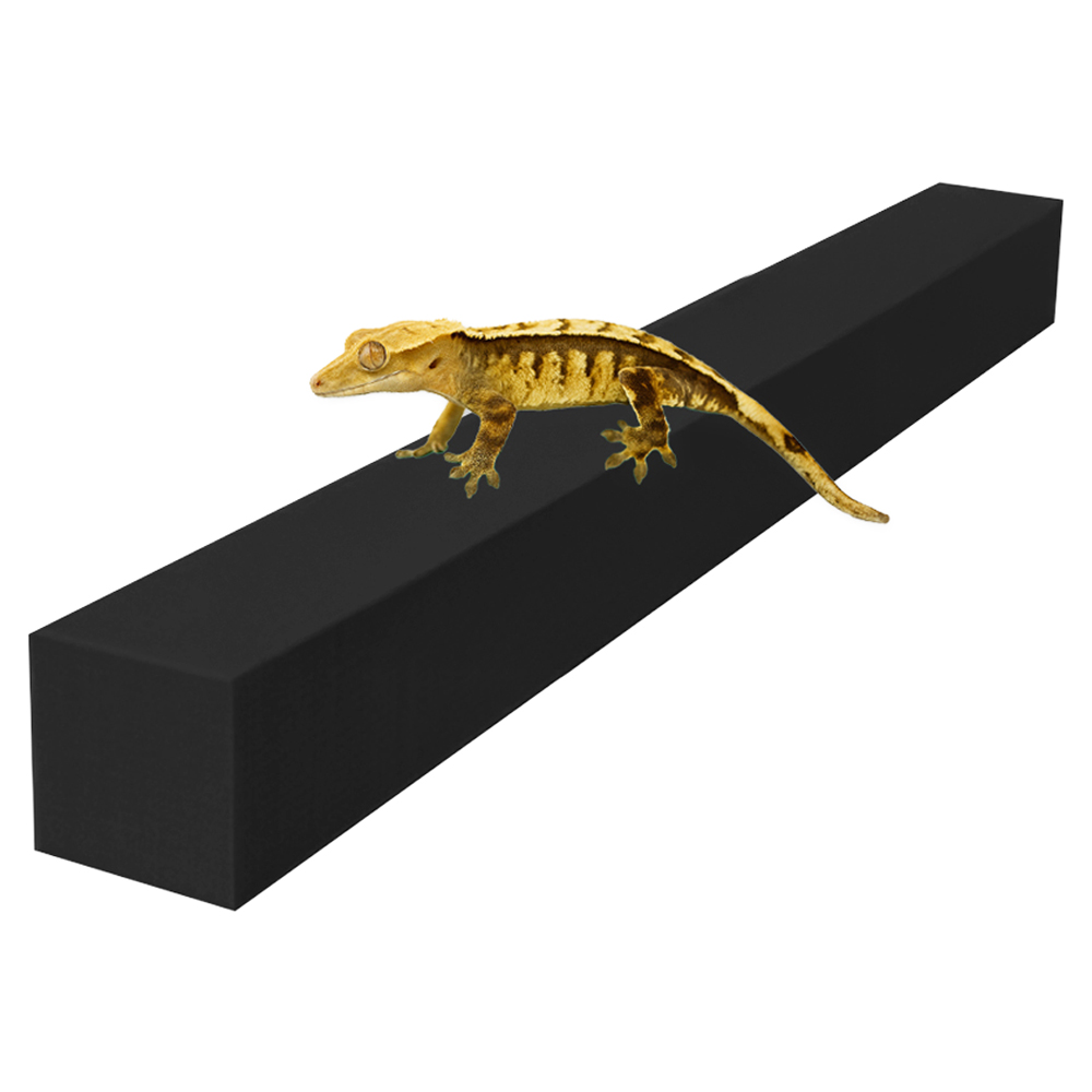 레몽크리프 도마뱀 파충류 크레스티드게코 EVA 고밀도백업 3 x 3 x 50 cm, 블랙, 1개 5,000원