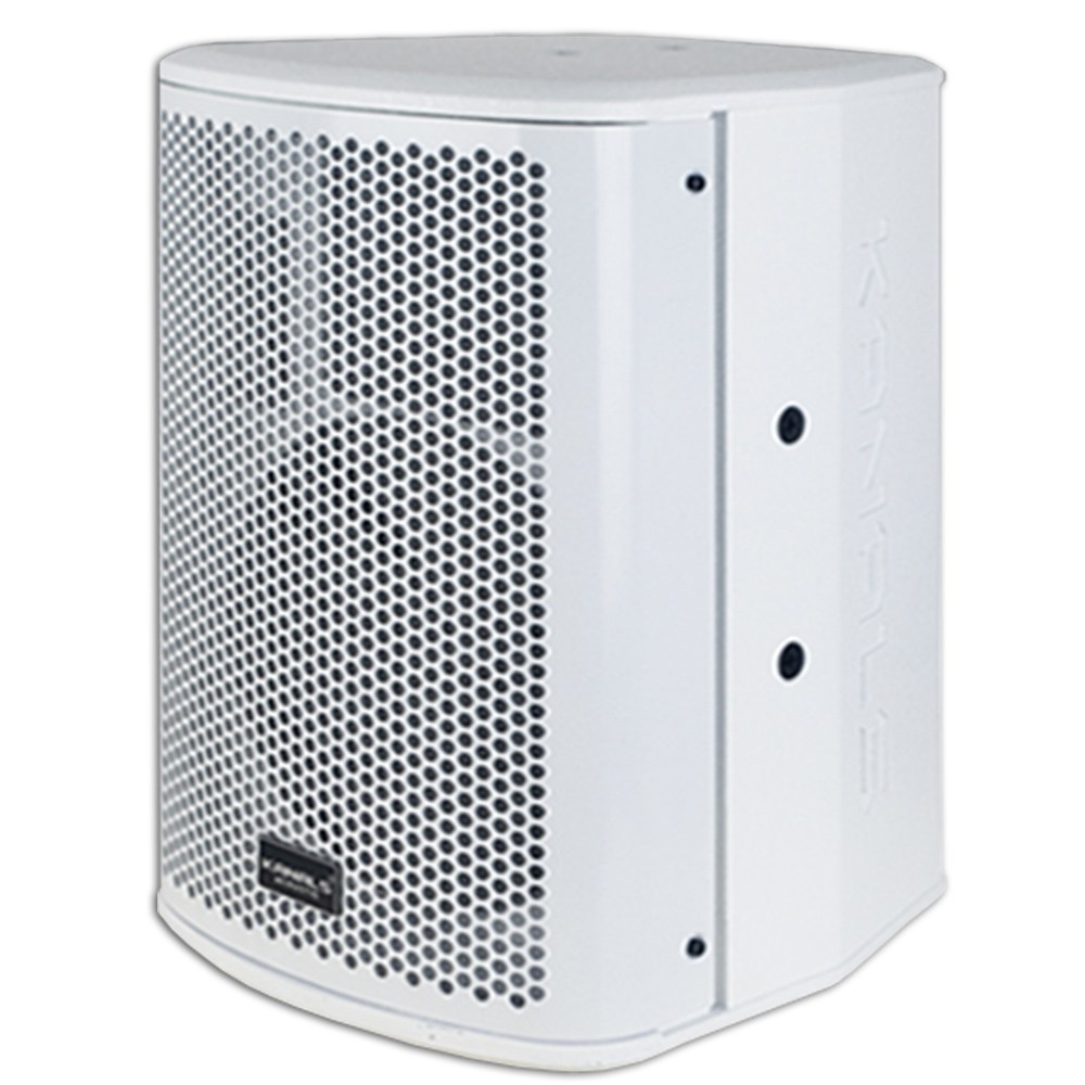 카날스 업소용 스피커 TRS-618/TRS-828 (TRS 시리즈) 컬러선택(블랙 or 화이트), SM, TRS-828 573,300원