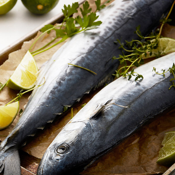 손질 대 삼치살 제주 산지직송 10팩 (팩당 300g 이상), 1팩당 300g이상, 1개 81,600원